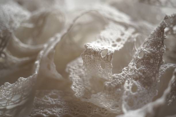 istock Tender white lace tape close up view 1993866979