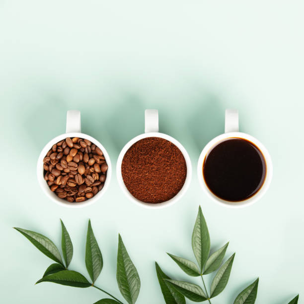 Coffee Trio: Beans, Ground, and Brewed Cup 스톡 사진