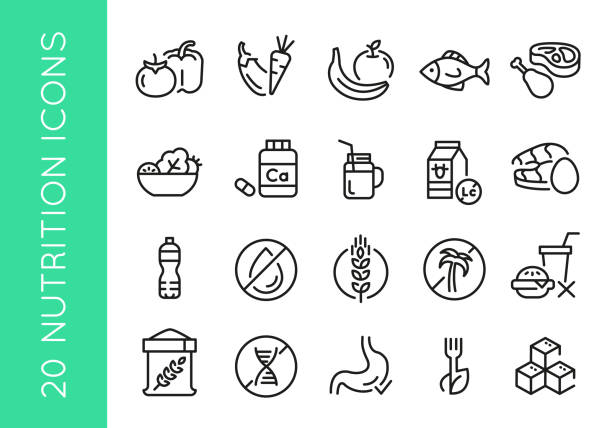 20 Nutrition Icons 20 black line icons representing various nutrition elements and healthy foods on a white background for web,mobile, promotional materials, SMM. Vector illustration meat stock illustrations