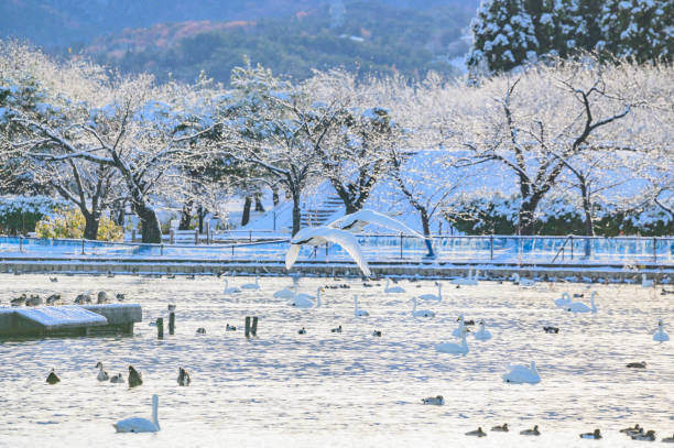 Lake Hyoko in Niigata, Japan