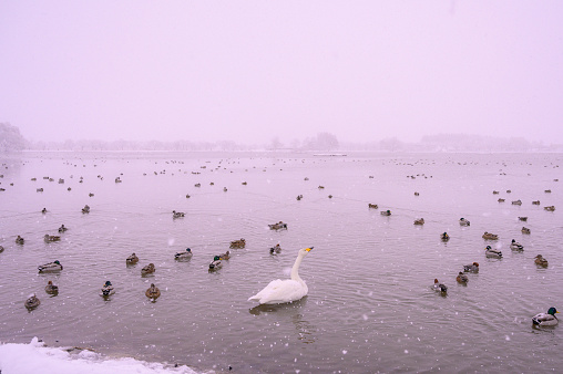 Lake Hyoko in Niigata, Japan