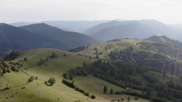 istock Dappled Light Over Carpathian Mountain Pastures and Woodlands 1993899917