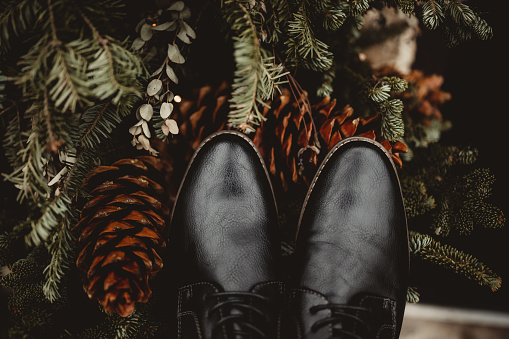 Pine cones and pine tree branches with men's dress shoes