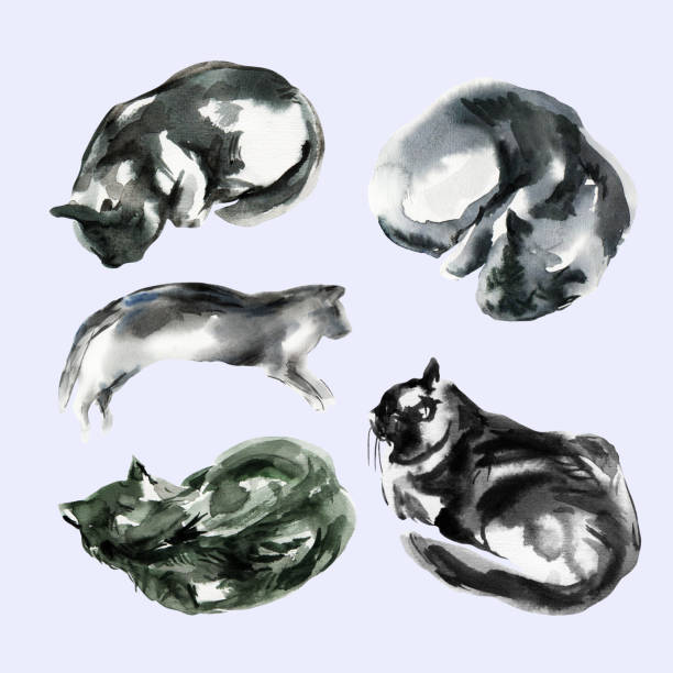 set of abstract cat sketch, animal print stains, beautiful shapes, pastel color palette. watercolor illustration of sleeping, lying, playing pet - hands and feet flash点のイラスト素材／クリップアート素材／マンガ素材／アイコン素材
