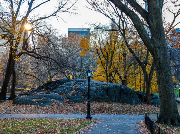 istock Central Park rock outcropping in Autumn 1993970711