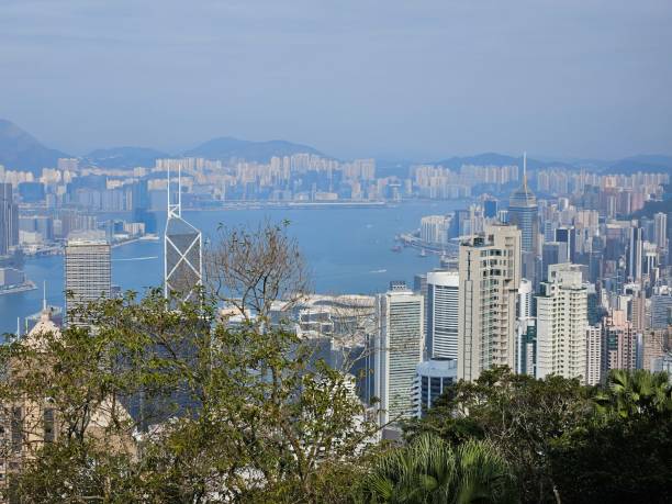 istock Hong Kong City and Harbour 1993983142