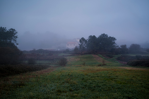 A foggy morning on the Santiago Way in Galicia.