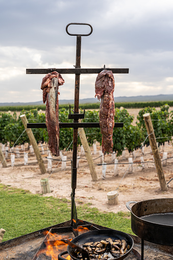 Flame-Grilled Loin Steak in the Heart of an Argentine Vineyard