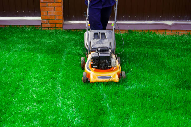istock The man is working in the garden. Mowing grass with a lawn mower. 1994060465