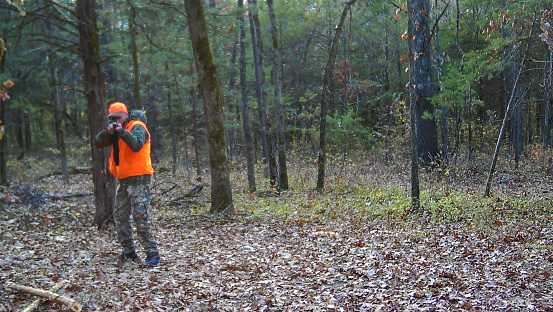 Midwest Hunting Male Hunter in Blaze Orange Aiming Rifle in Missouri Forest