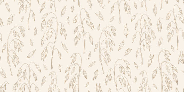 Oat field pattern. Oat spikes background. Line cereal drawing. Grain farm sketch in golden color. Vector bread plant art. Oatmeal branch and seed vintage seamless pattern. Vintage Field background
