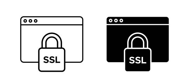 ssl-verschlüsselungssymbol-vektorsatz. sicheres ssl mit browser-symbol - e commerce https ssl internet stock-grafiken, -clipart, -cartoons und -symbole