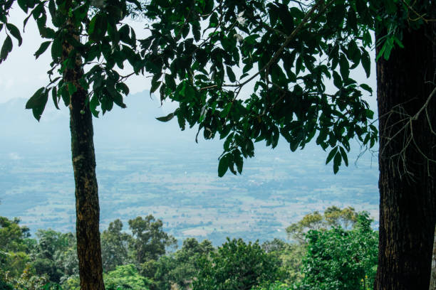 beautiful nature in high mountain