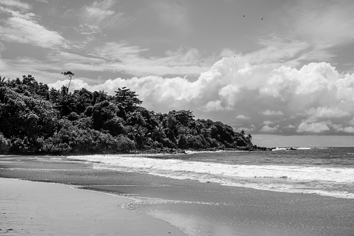 A captivating deserted beachscape in Ghana, Africa, in grayscale