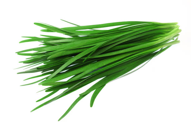 istock close up fresh chives isolated on white background 1994426618