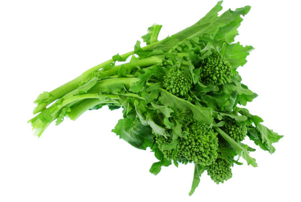 istock close up on a bunch of broccoli flower leaf vegetable 1994427165
