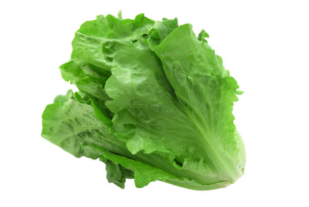 istock close up on fresh green lettuce texture 1994429777