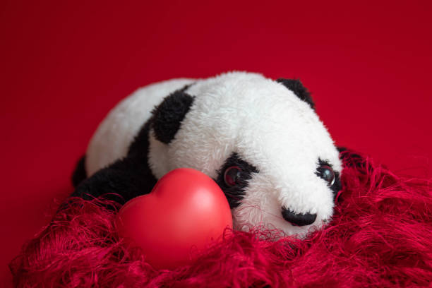 Panda Doll with Red Heart on Red Background