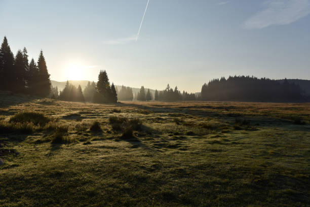 istock Morning mist in a mountain meadow 1994466754