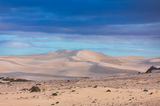 Dry arid desert landscape with awe-inspiring sand dunes in Western Australia