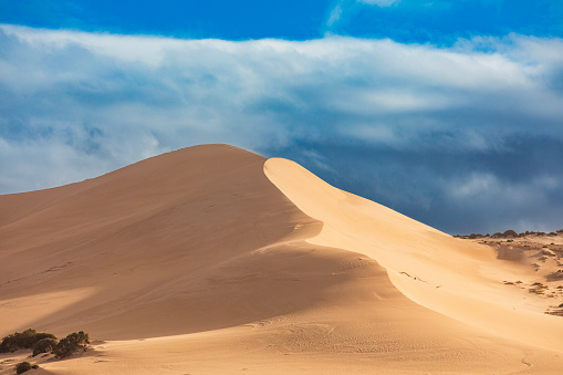Dry arid desert landscape scene with tall untouched majestic sand dunes and blue sky in Western Australia