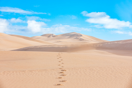 Footsteps leading into dry arid desert landscape in Western Australia