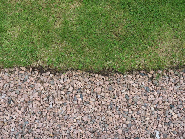 istock green meadow and gravel background 1994533958
