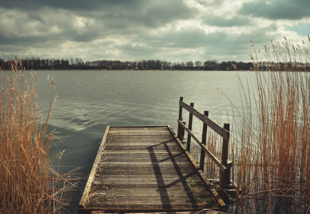 a dock on lake with tall grass in the foreground