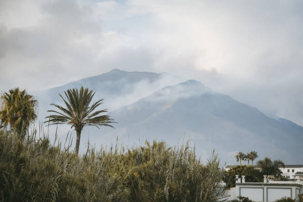Summer forest fire in Andalusia, Spain
