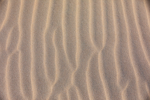 Close up detail of wind shaped ridges and patterns in dry arid desert landscape. Photographed in Western Australia.