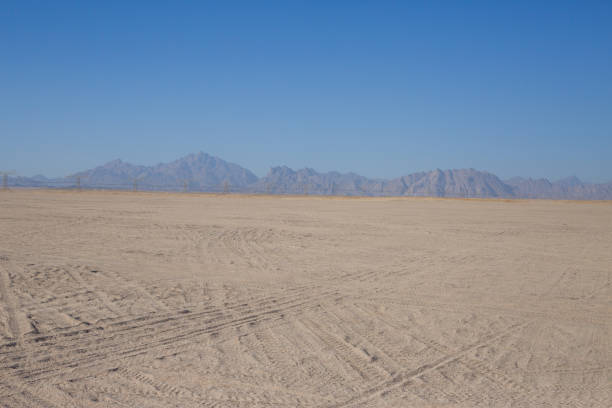 ligne d’horizon du désert avec traces de pneus - tire track egypt track africa photos et images de collection