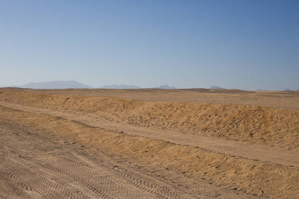 horizon désertique sur la route du safari - tire track egypt track africa photos et images de collection