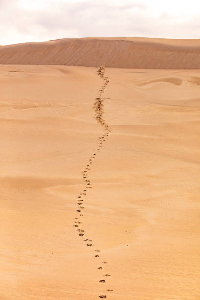 Death Valley National Park, California