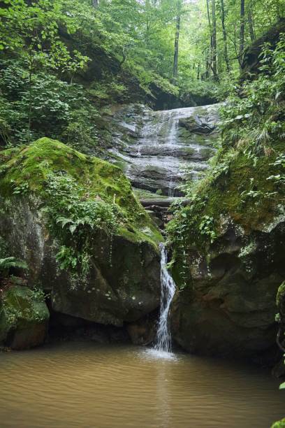 istock Beautiful natural landscape. The waterfall flows down a rock covered with moss 1994611068