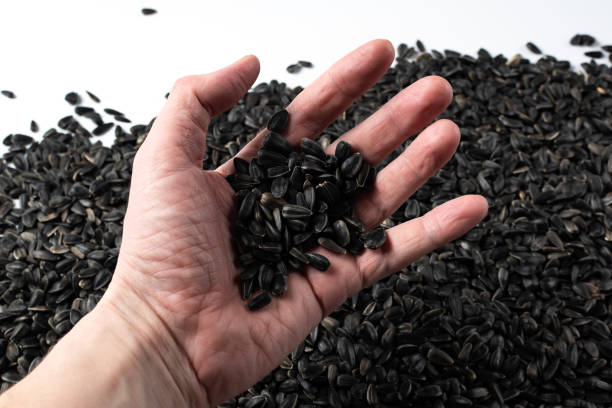 istock Black sunflower seeds. For background or texture 1994625279
