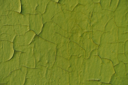 Backdrop - yellowish green peeling and cracking paint on the wall