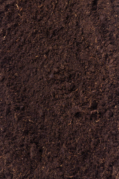 istock Soil for plant isolated on white background. 1994632636