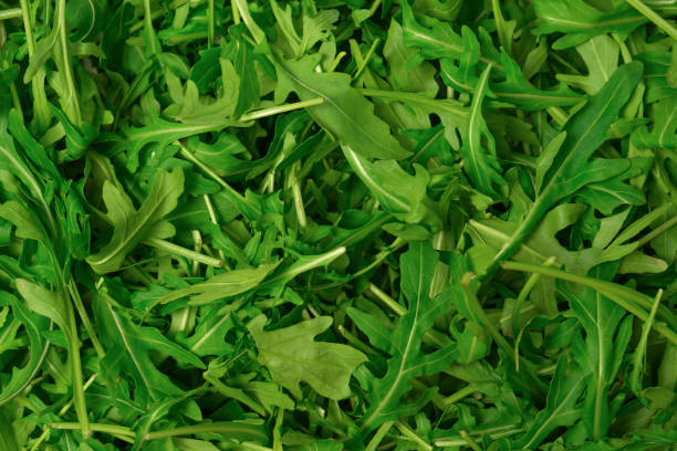 istock Fresh leaves of arugula as a background. 1994633187