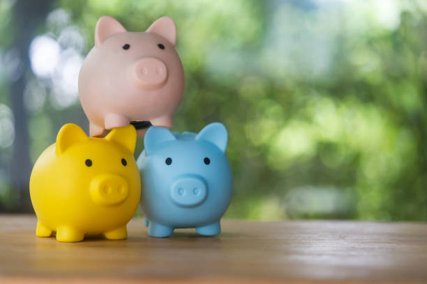 istock Three piggy bank. Saving money and invest concept. 1994657187