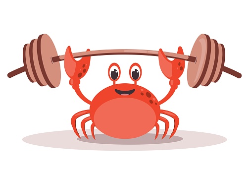 Vector red crab on whitebackground. Cute cartoon crab. Crab athlete with a barbell.