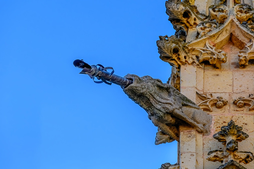 Seville, Spain - January 15, 2024: Close-up of a stone gargoyle part of the exterior architecture in the Seville Cathedral