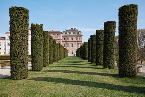 VENARIA REALE, ITALY - MARCH 29 , 2023: Reggia di Venaria castle park with cylindrical hedges, symmetrical view in spring sunlight