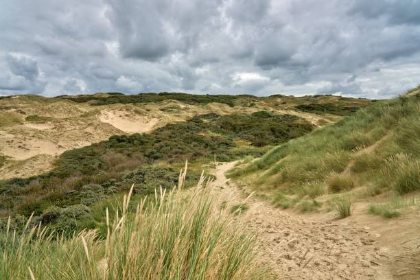 istock Dune landscape with old dilapidated Wehrmacht bunkers from the Second World War 1994762837