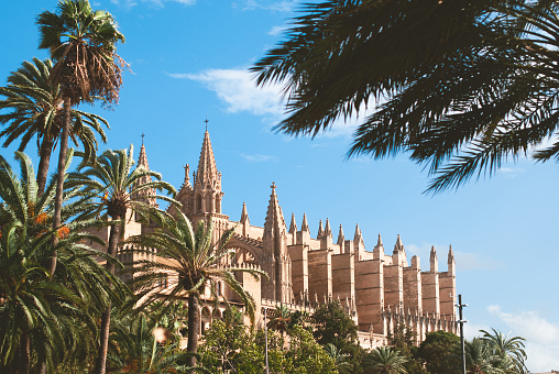 Palma de Mallorca. The medieval cathedral with palm trees and a blue sky.