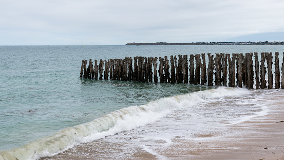 Tree trunks on the beach of Saint-Malo (Brittany, France) at high tide on a cloudy day in summer