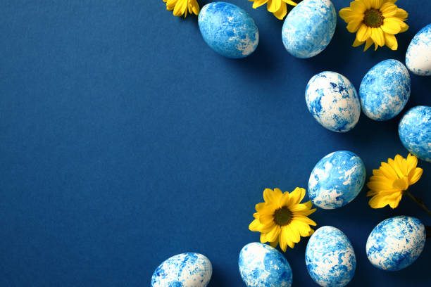 istock Blue and white painted Easter eggs on dark blue background with yellow flowers. Flat lay, top view, copy space 1994852086
