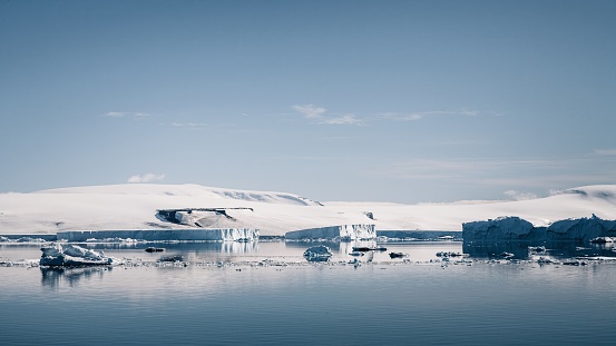 Antarctica Peninsula Coast. Icebergs floating on the calm Antarctic Ocean at the coast of Antarctica Peninsula in the sun under sunny cloudless sky, mirroring in the tranquil, calm Antarctica Ocean. Antarctic Ocean, Coast of Antarctica.