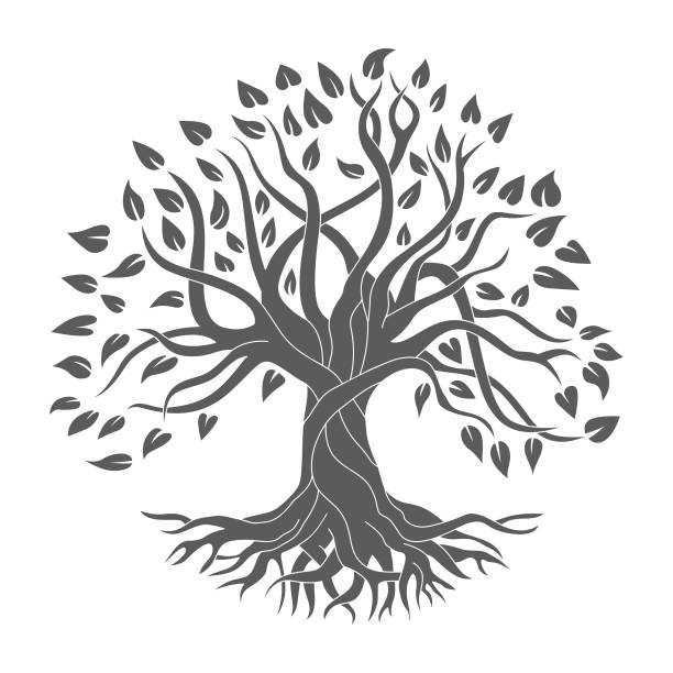 Tree of Life The Celtic Tree of Life Vector Illustration. Celtic Style Symbol. druid definition stock illustrations