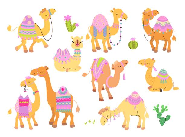 kamelfiguren cartoon-set. wüstentiere, lustiges kamel mit teppich und sattel. arabisches tier, kinder niedlich nowaday vektorsammlung - camel animal dromedary camel desert stock-grafiken, -clipart, -cartoons und -symbole