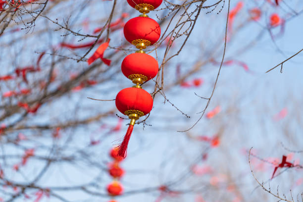 Beautiful Chinese new year red lanterns are hanging in front of modern building highrise